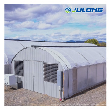 Fully Automatic Arch medical growing Greenhouse